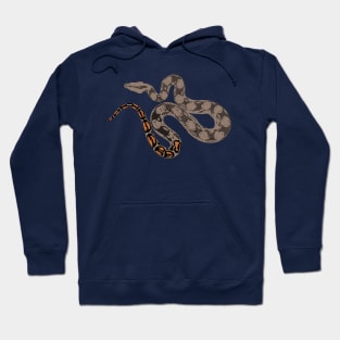 Boa Constrictor Hoodie